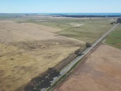 Mar del Plata  240 has