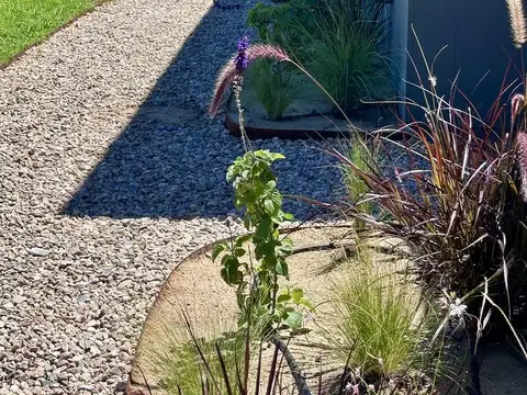 Casa en venta a estrenar en Pueblo Mio