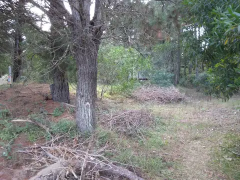 DEL PLATA Y SANTA MARÍA