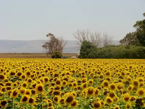 Terra ROJA Premium,agrícola