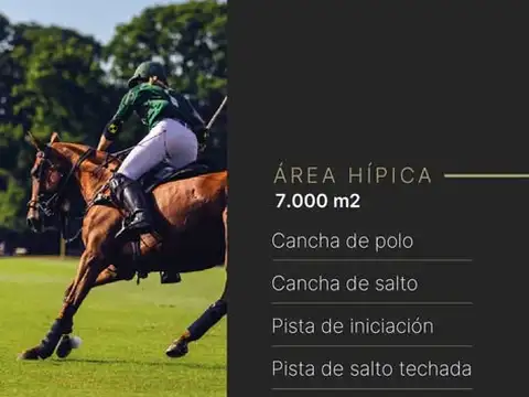 Negocio especial en venta en Pilar