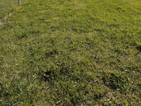Terreno en Los Talas
