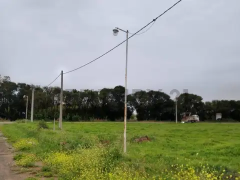 Terreno en Venta de 299,0 m2