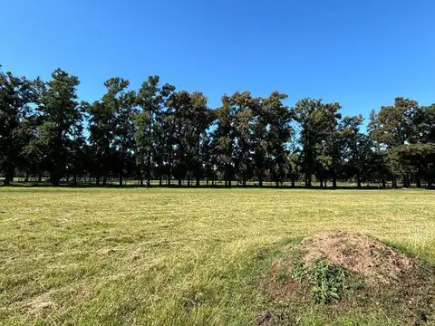 Terreno en Venta en Almahue, USD 110.000