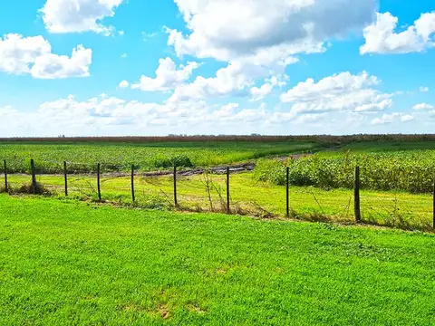 Campo en Venta de 324  ha