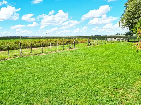 Campo en General Alvear