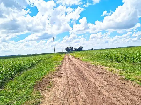 Campo en General Alvear