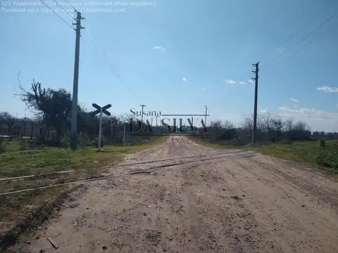 Calle Libertad, 85 Hectareas