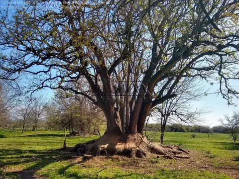 85Ha. Calle Libertad. Marcos Paz, Cercano al Centro y Ruta 6