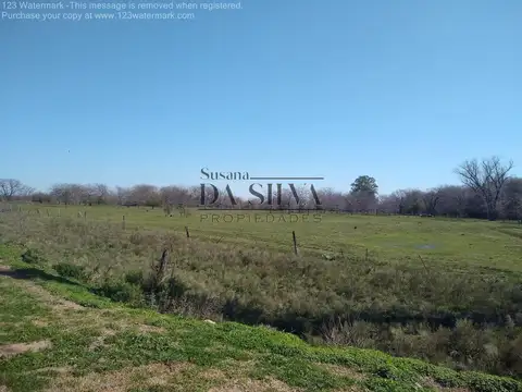 85Ha. Calle Libertad. Marcos Paz, Cercano al Centro y Ruta 6