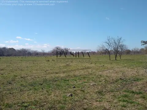 59Ha. Calle Libertad. Marcos Paz, Cercano al Centro y Ruta 6