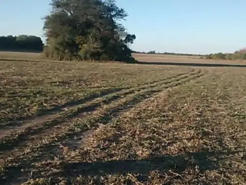 Campo Agrícola Sarmiento