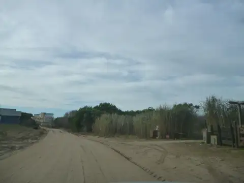 Avutarda 200 200