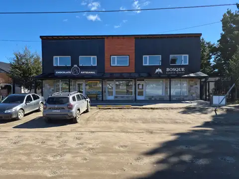 Locales comerciales de 20 y 40 m2 de superficie, ubicados frente a ruta N°40.