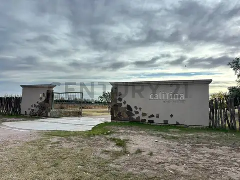 VENTA DE CAMPO DE 2.7 HA EN SAN RAFAEL MENDOZA. ID: 343654