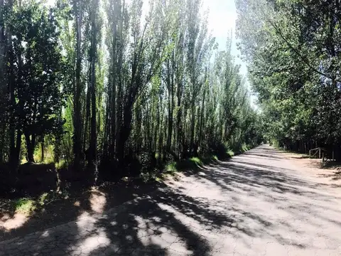 FINCA A LA VENTA EN SAN RAFAEL