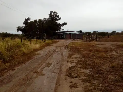 Sobre ruta 13 Campo mixto
