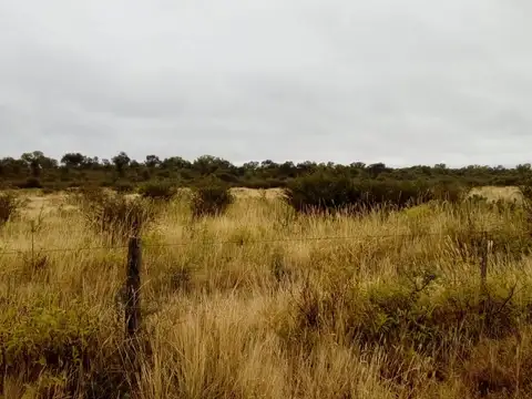 Campo mixto, oportunidad