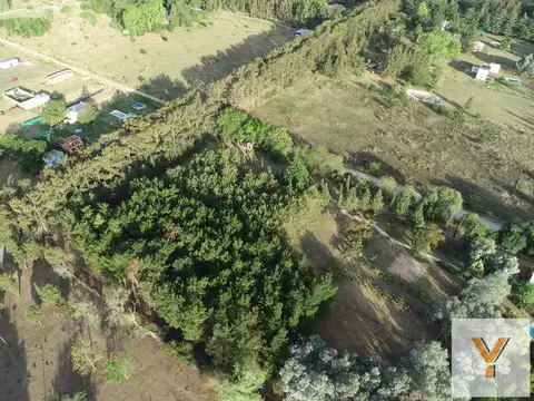Terreno en venta - 700Mts2 - Las Casuarinas, Abasto, La Plata