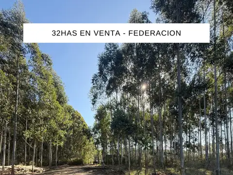 32has campo en venta