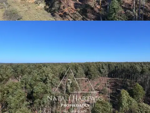 Campo en Venta de 32  ha