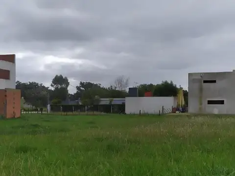 Lote en Camet Norte calle Leonardi