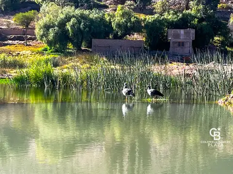 Maimara loteo El cielo en Maimara