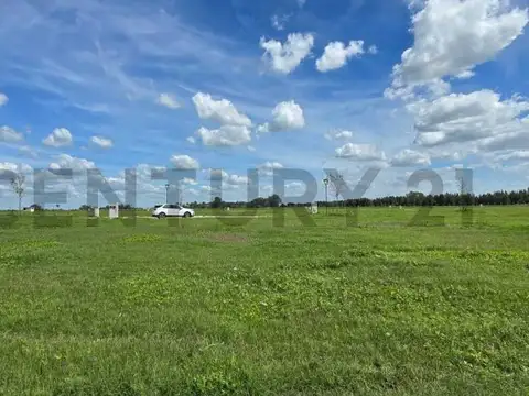 Terreno en Venta de 730,0 m2