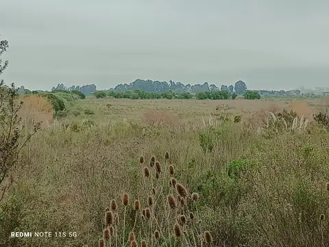 Terreno en Venta 108,15  mts Fondo