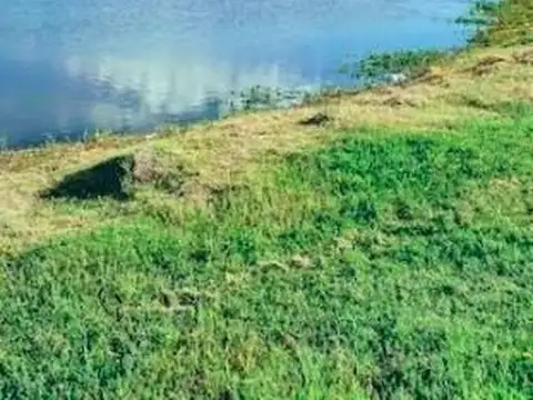 Terreno / Lote en venta de 1400m2 ubicado en Berazategui