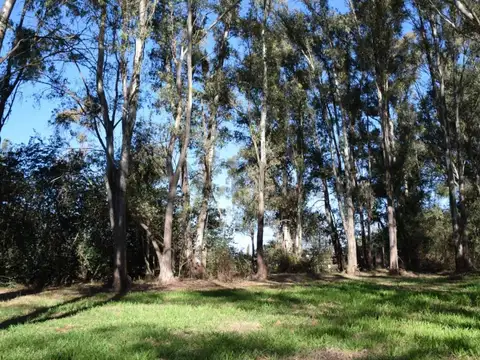Terreno en Venta en Chacras Del Parana, USD 110.000
