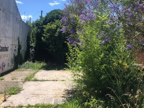 Miguel Sagastizabal 5100