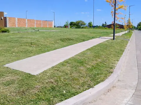Terreno en Venta de 250,0 m2
