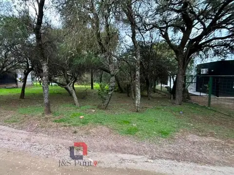 Terreno en Venta 42  mts Fondo