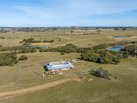 Campo en Venta de 177  ha