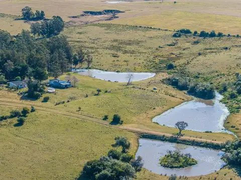 Campo en Venta de 177  ha