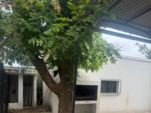 Laprida 100