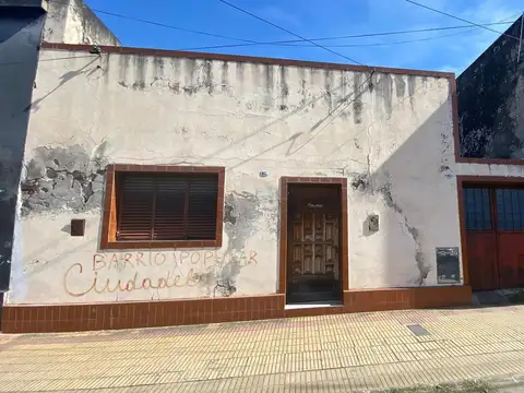 Miguel Lillo 400