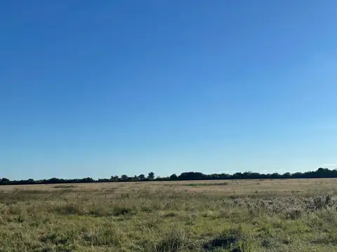 Campo en venta AGRICOLA 200 HECTAREAS - SANTA FE - RUTA 1 colonia san joaquin - santa fe -