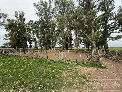 Campo en venta de 427 has en Magdalena