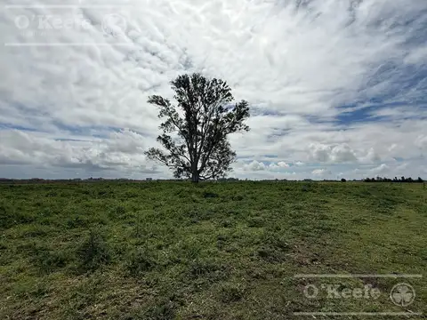 Campo en venta de 427 has en Magdalena