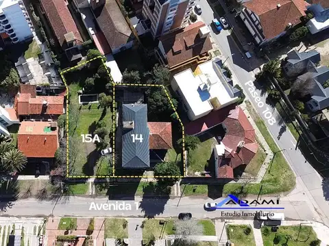Avenida 1