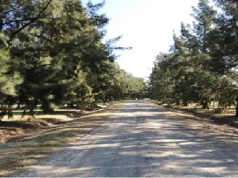 Venta urgente de Chacra barrio Malvinas, Brandsen
