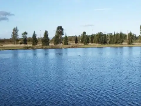 Aristóbulo del Valle 1300