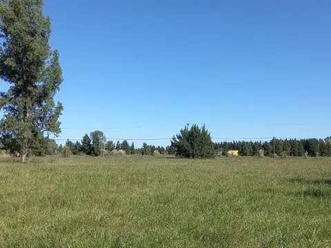 Venta urgente de Chacra barrio Malvinas, Brandsen