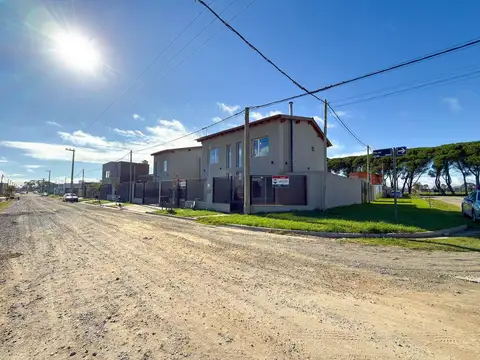 PIO XII 2000