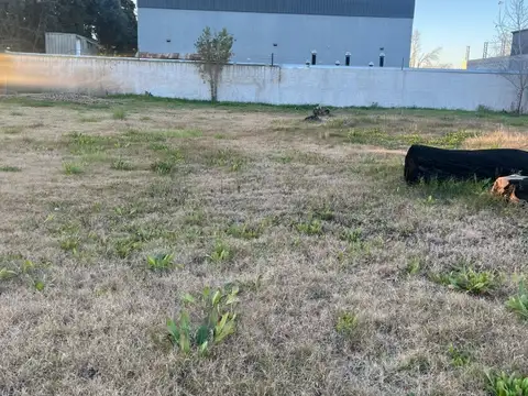 Terreno en Venta 40  mts Frente