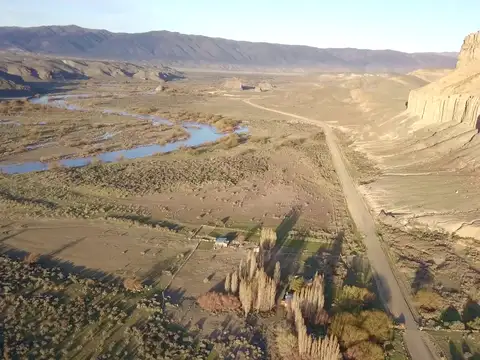 Campo en Venta Ganadero