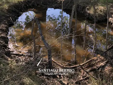 43 ha. Campo en venta en Exaltación de la Cruz.