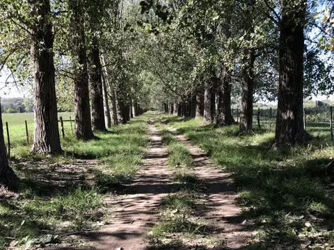 43 ha. Campo en venta en Exaltación de la Cruz.